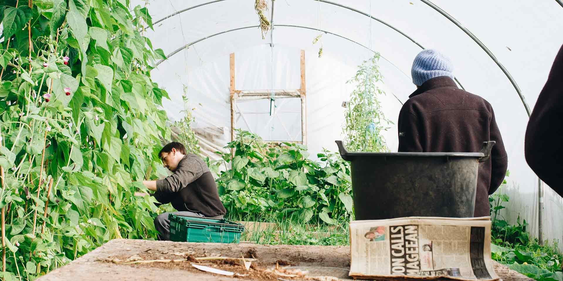 asesoria agricultura